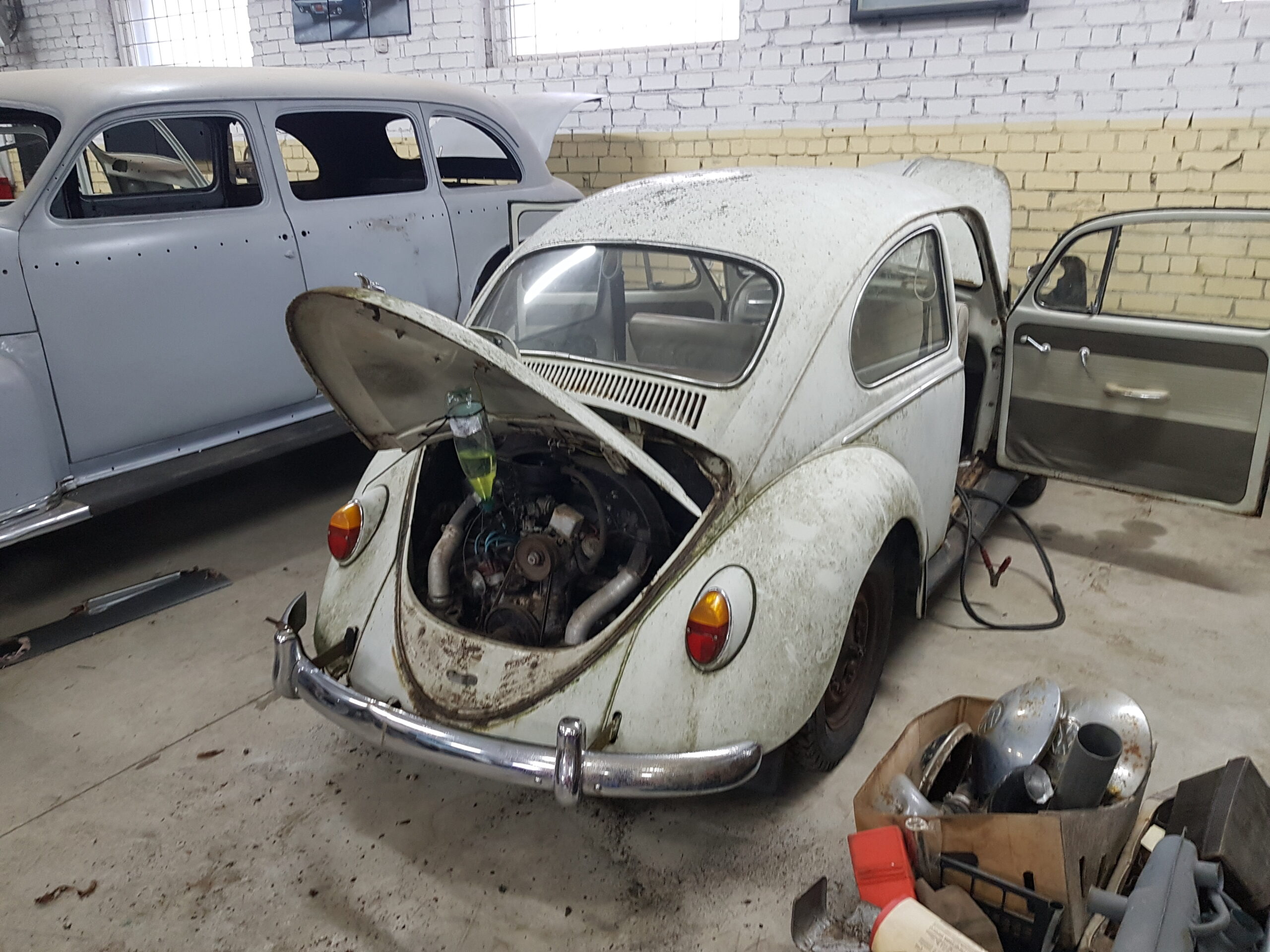 Volkswagen Beetle 1965m